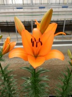 [5092 Dunes No01.JPG]